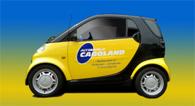 Onderhoud aan alle merken auto's bij Caboland